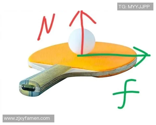 乒乓球技术创新与发展趋势分析：从基础技巧到高端战术的全面解析